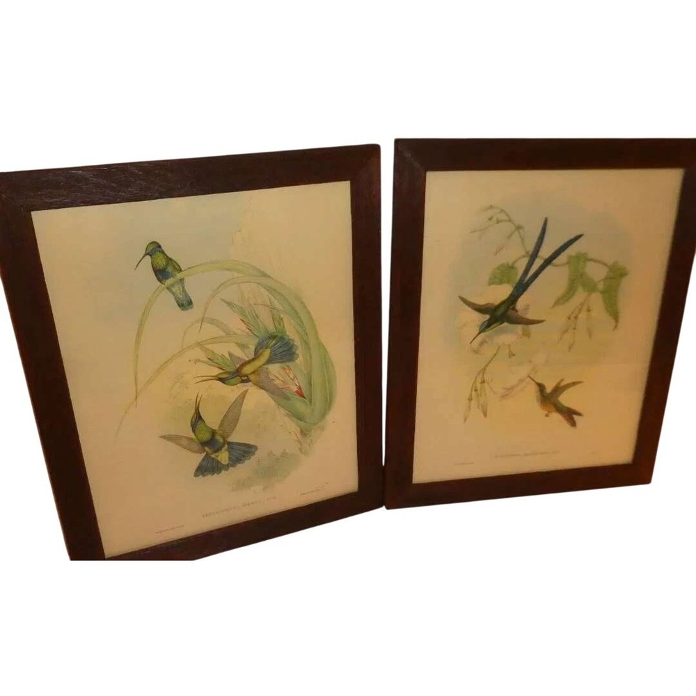 Vintage Hummingbird Lithographs Set of 2‎ Gould Style 19x23 Framed